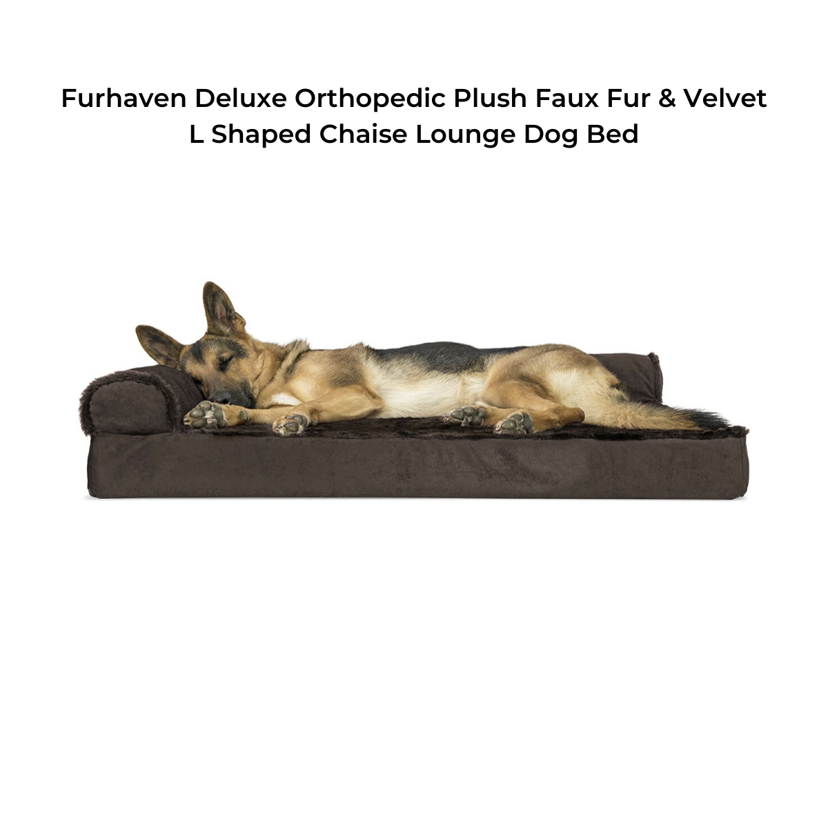 plush velvet dog bed