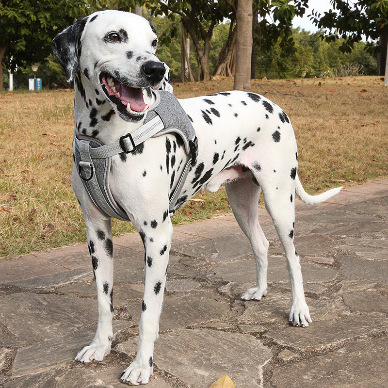 Dog Harness No Pull Reflective Adjustable Nylon Harnesses Leash Pet dog Adjustable Dog Harness Soft Reflective Vest Harness for Medium and Large Dog Thicken Dog Leash with Harness For Big Dogs