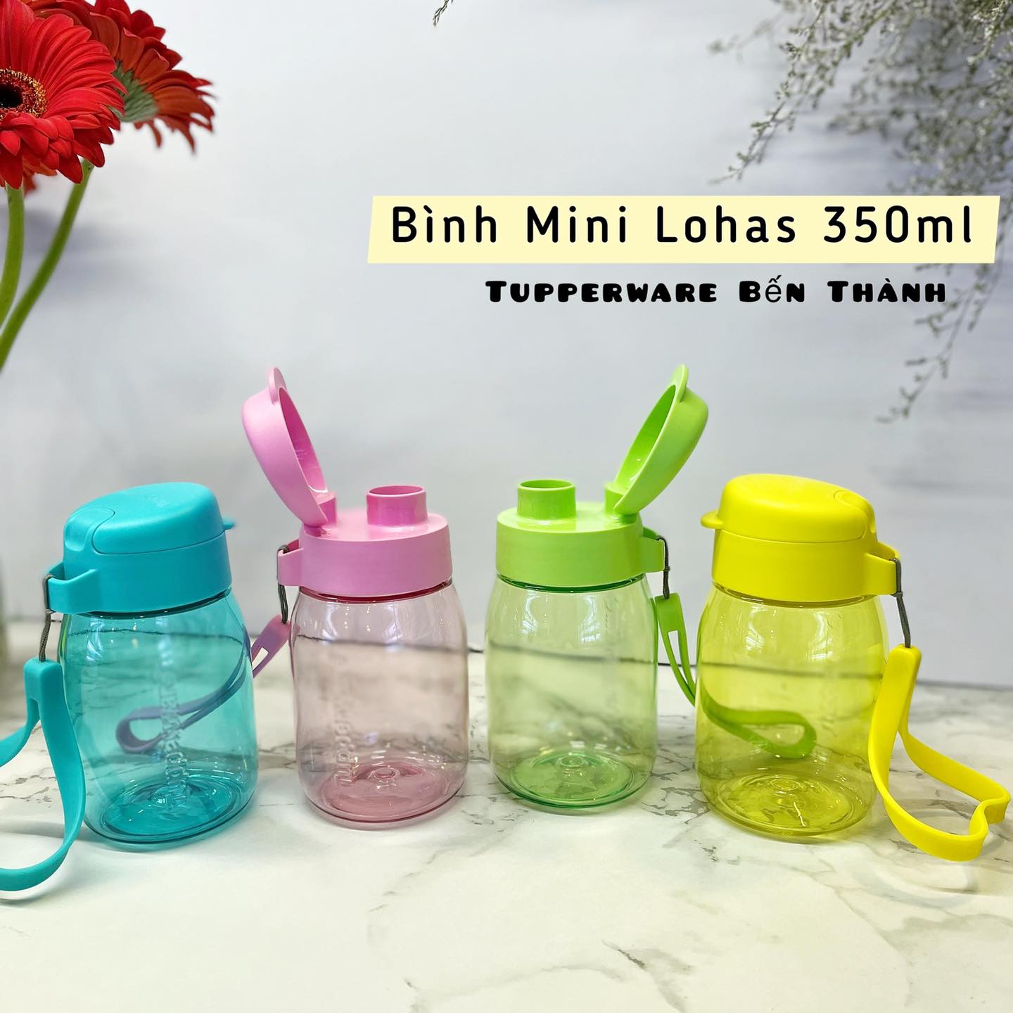 Bình nước MINI LOHAS 350ml