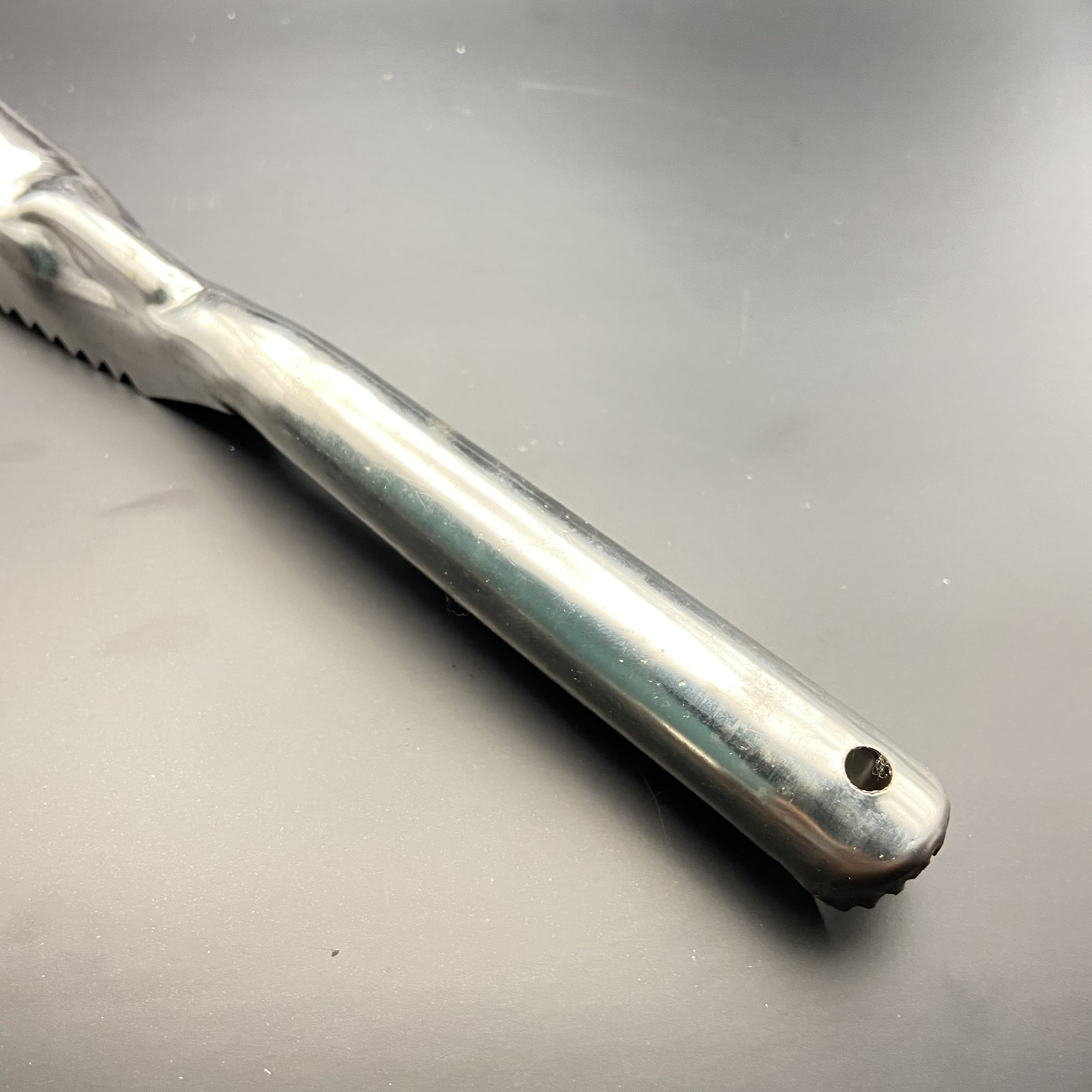 Đánh vẩy cá Inox