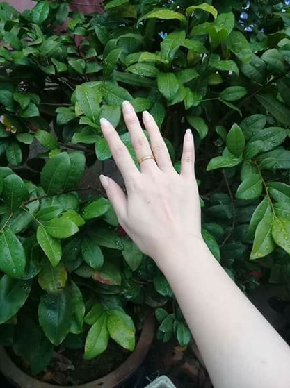 Sữa Tắm Trắng ERINA Thái Lan