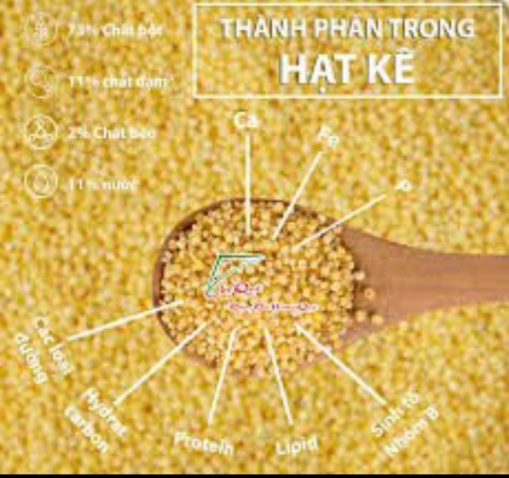 HẠT KÊ NẾP VÀNG NGHỆ AN SẠCH VỎ