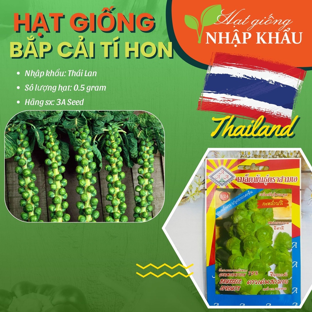 Hạt giống bắp cải mini xanh. Xuất xứ: Thái Lan. 100 hạt/gói