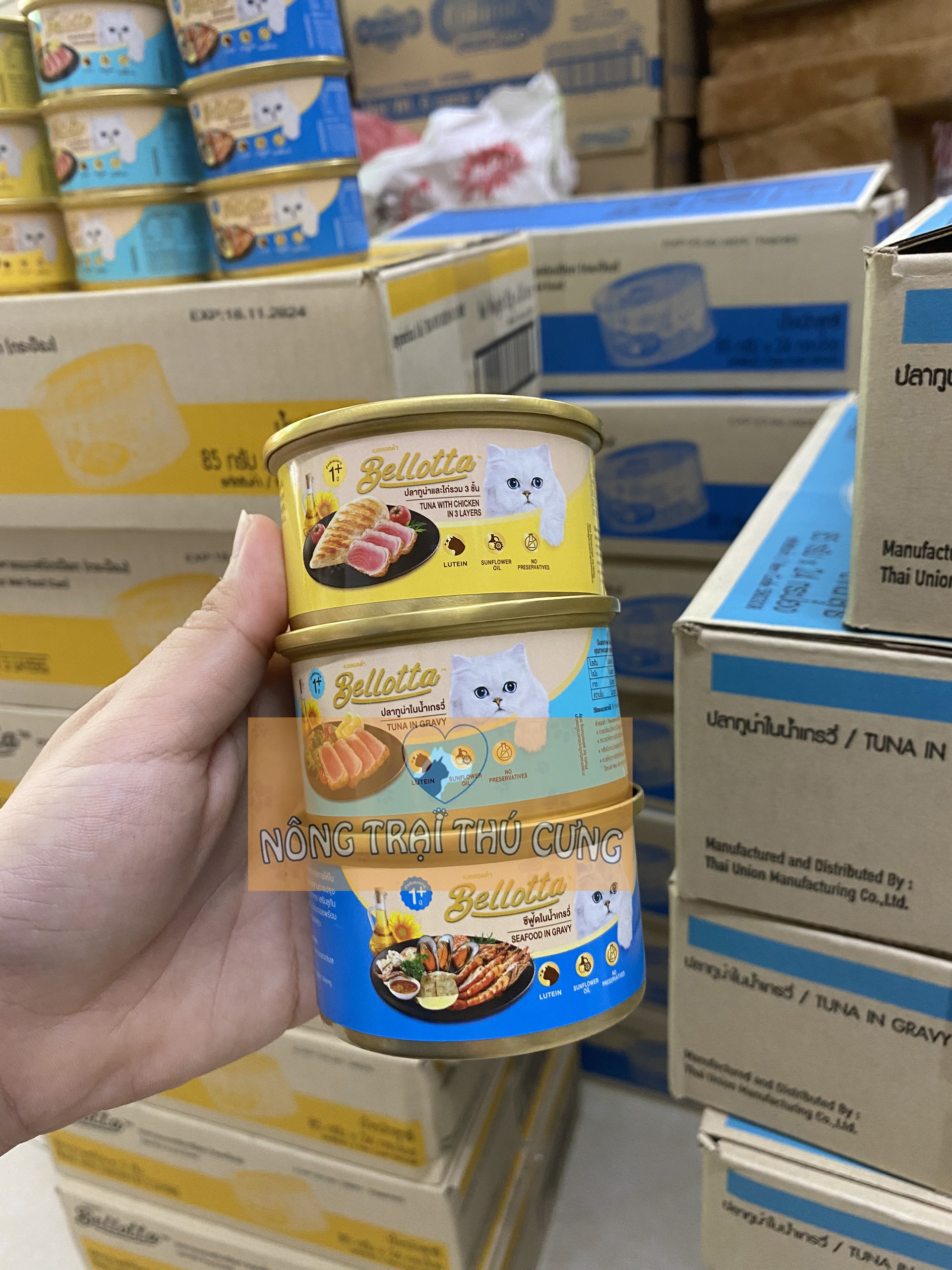Pate Cho Mèo Bellotta Lon 85g (Thái Lan) - [Nông Trại Thú Cưng]