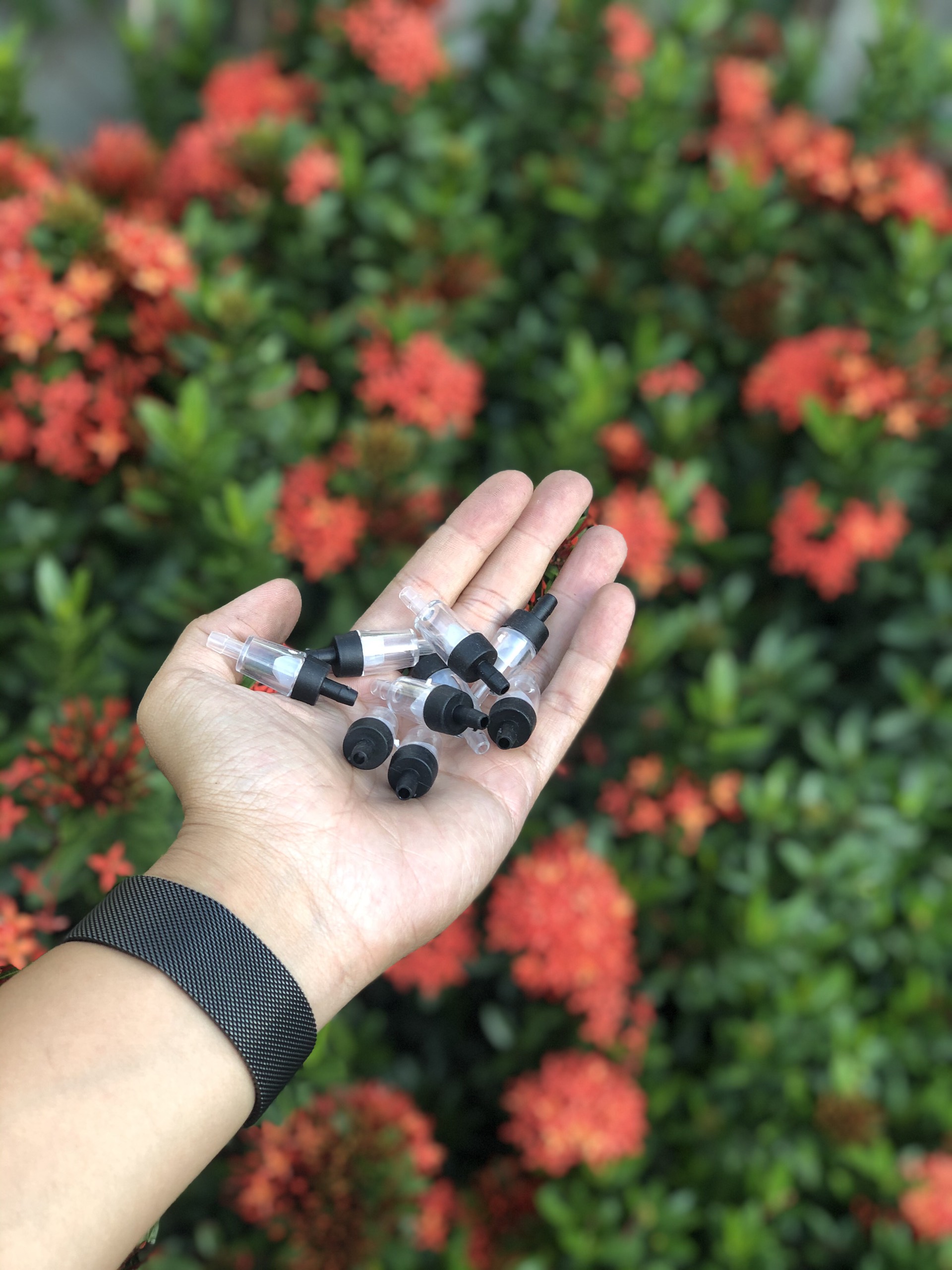 Van 1 Chiều Dành Cho Máy Sủi Oxy( Số Lượng 2 Cái )