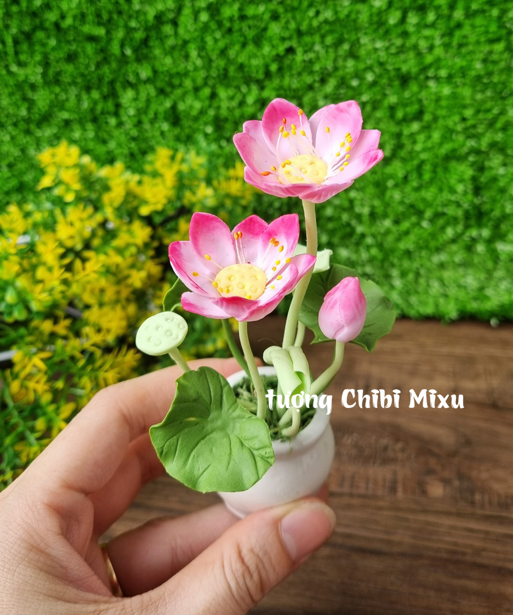 Chậu hoa sen bằng đất sét Nhật cao tầm 10cm