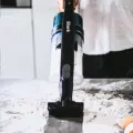 Shark Vacuum Rocket Pet Pro Cordless Vacuum Cleaner (IZ102). 