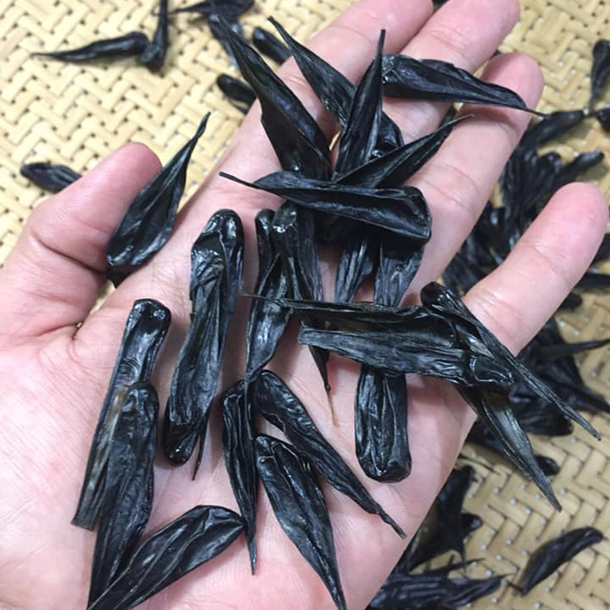 [BÁN CHẠY NHẤT] MẬT KỲ ĐÀ loại chuẩn sỉ toàn quốc