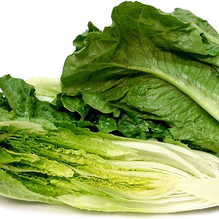 Hạt Giống Xà Lách Romaine (2gr)