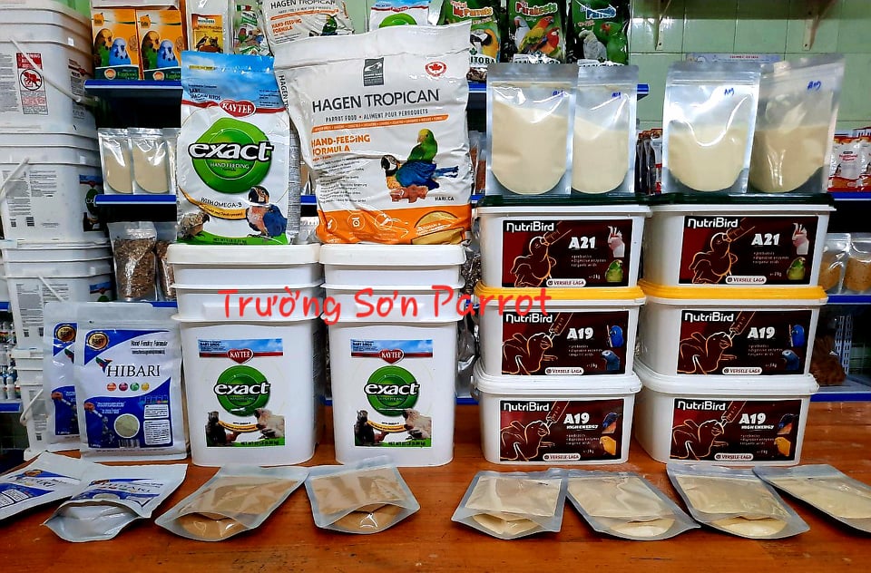 BỘT NUTRI A21 (gói lẻ 200g) đút cho chim non