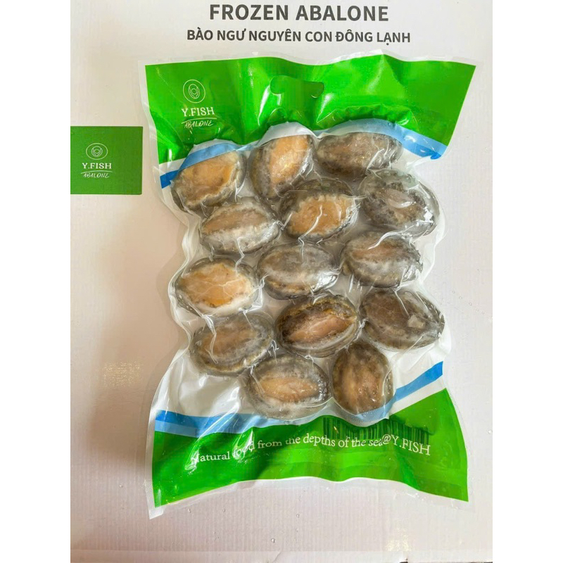 1kg Imported Y.Fish Abalone, Net Weight 6 Sizes, 20-22 Pieces (Delivery to Hcmc)
