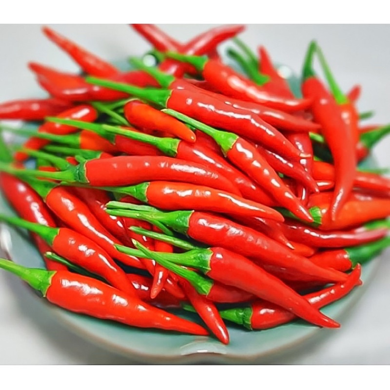 [Freeship] Tương Ớt Mường Khương Siêu Cay ( Đặc Sản Tây Bắc )