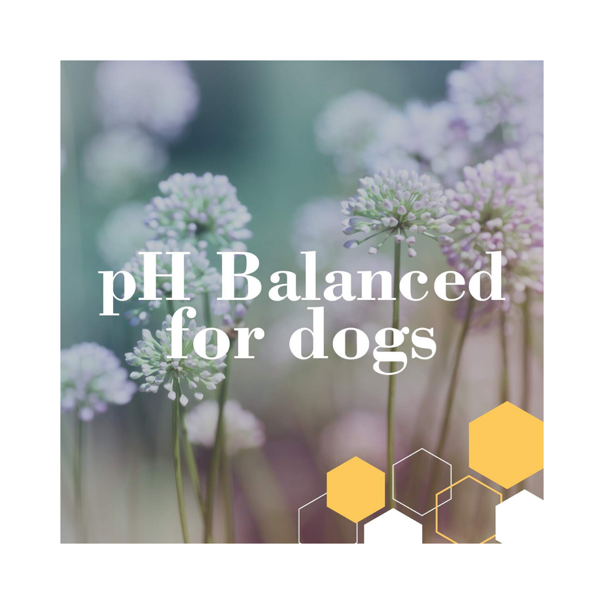 burt's bees itch soothing spray with honeysuckle for dogs