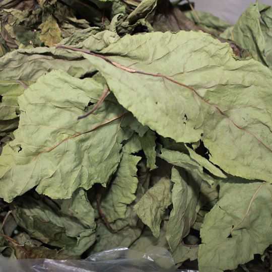 500gr Lá mật gấu khô - hàng sạch nhà làm thủ công