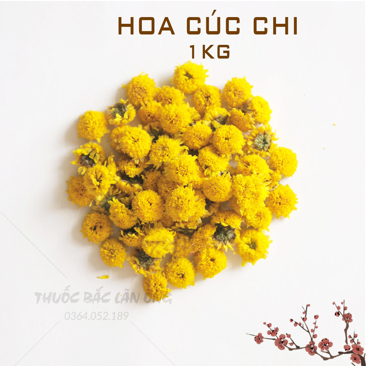 Dried Chrysanthemum Flowers 1kg (Yellow Chrysanthemum Tea with Small Buds Purifies the Body)