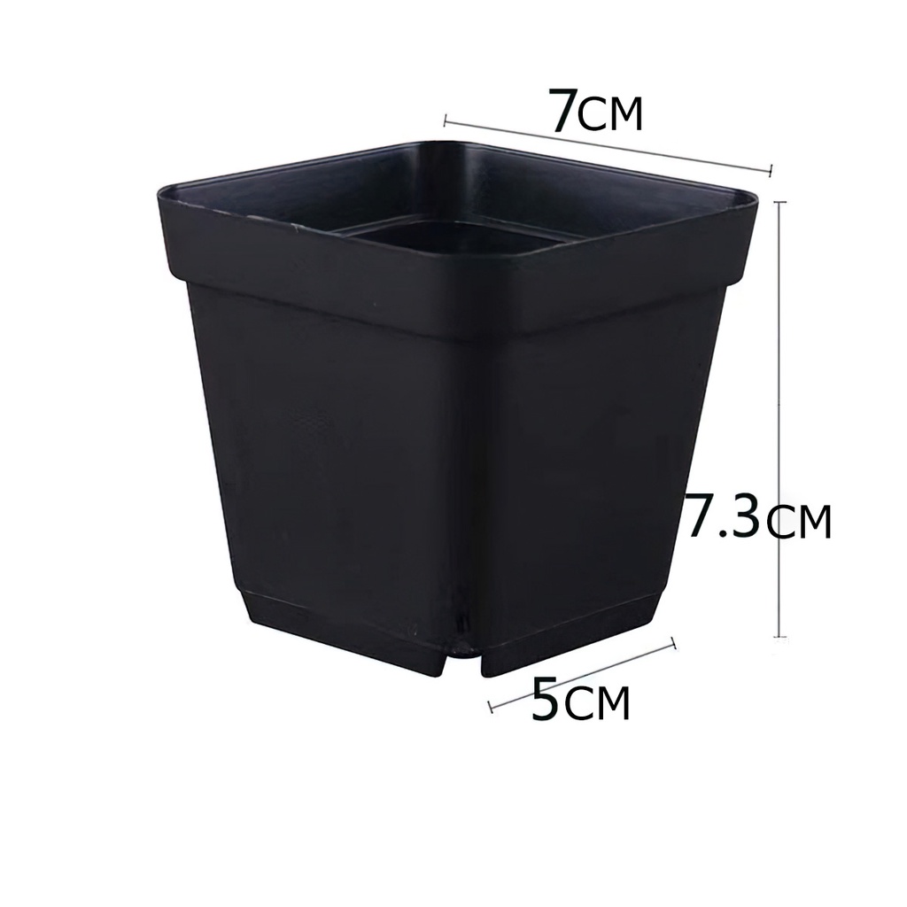 Mini white hard plastic square plants succulent flower cactus plant growing pot for many sizes-Aeneas shop