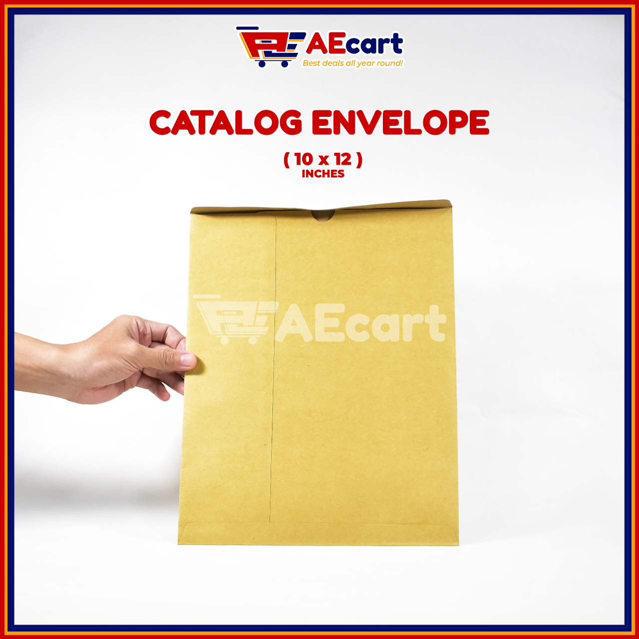 CATALOG BROWN ENVELOPE (10" x 12") 10PCS Lazada PH