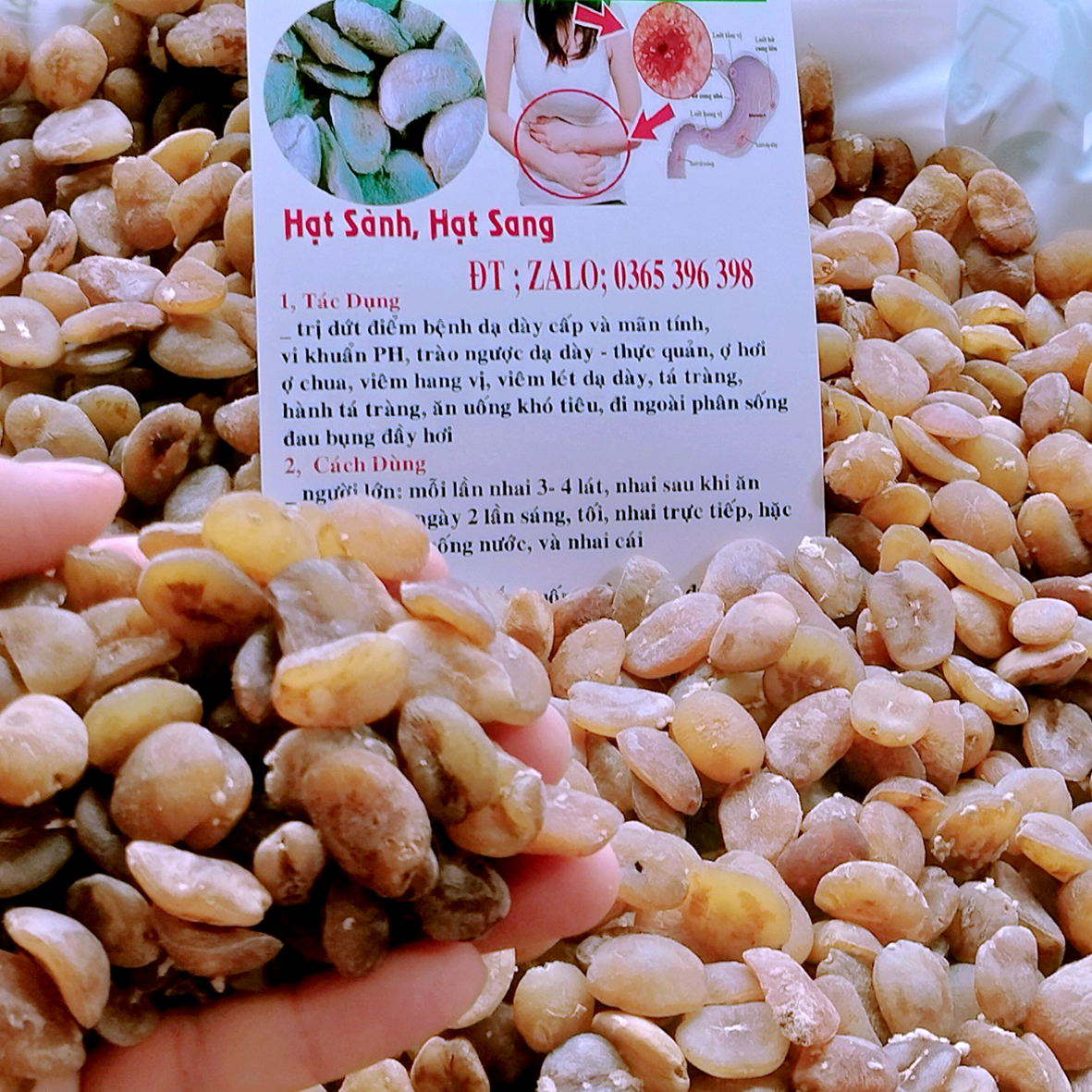 Hạt Sang (Hạt Sành) trắng, chữa đau dạ dày 1gói 10 hạt