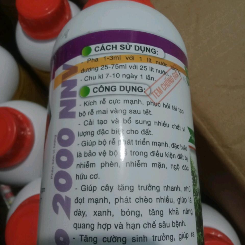 Max root - Bung đọt ra rễ mai vàng