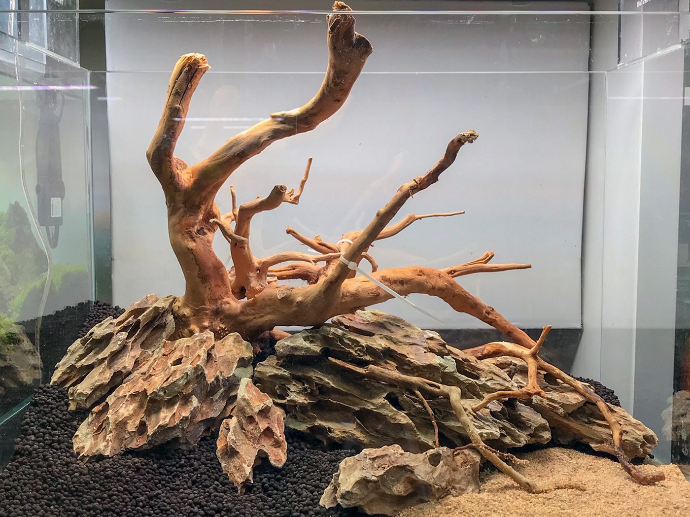 dragon stone scape