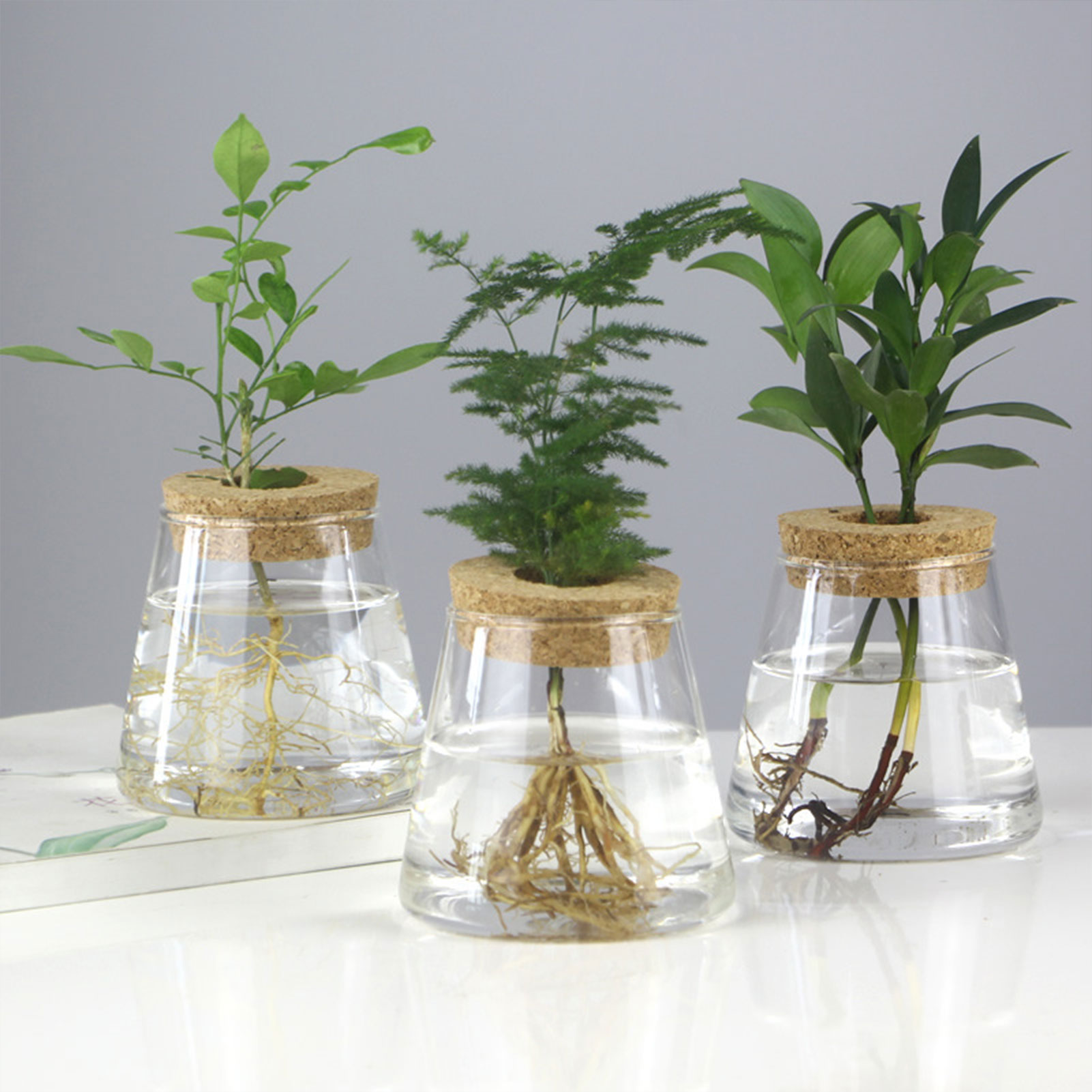 Plant Terrarium Vase with Lid Retro Transparent Table Glass Vase for Indoor Hydroponics Plants