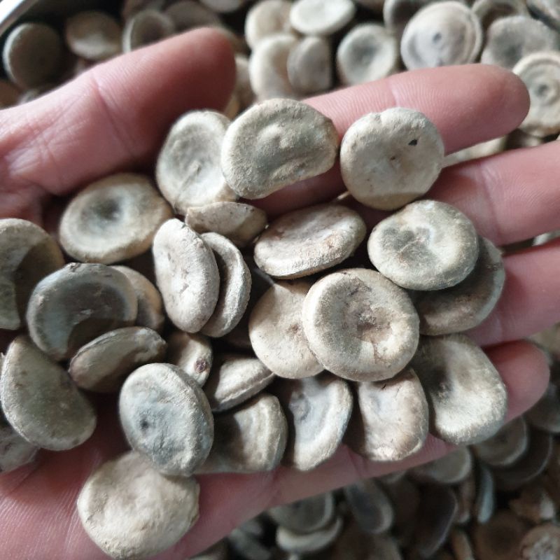 Hạt mã tiền khô 100g - tấn phát