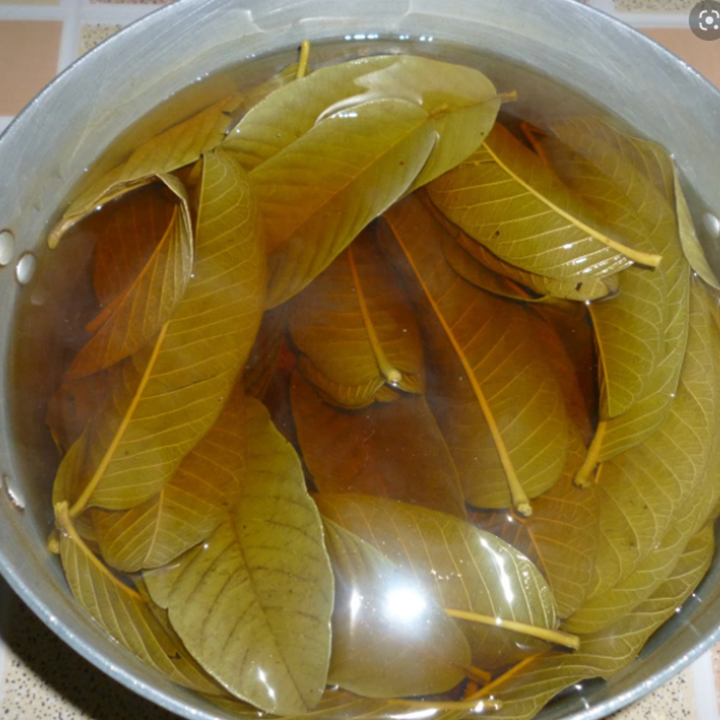 Lá Ổi 500g - Hàng Công Ty Chất Lượng