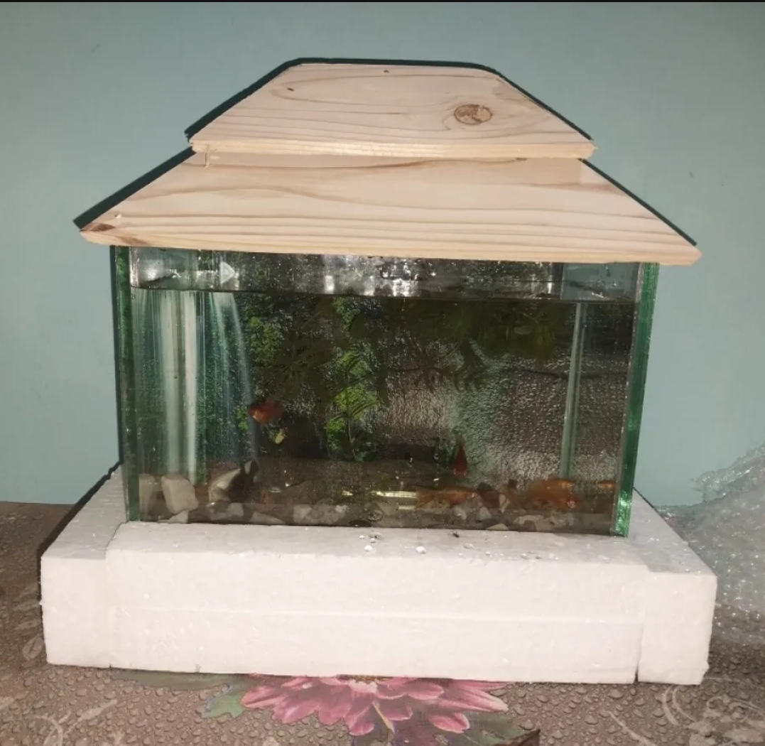 Glass%20Made%20Deshi%20Aquarium%20For%20Fish%20With%20All%20Accessories%20You%20Don't%20Have%20To%20Buy%20Anything%20(Big%20Size%2018x9x10%20Inches)%20-%20Image%202