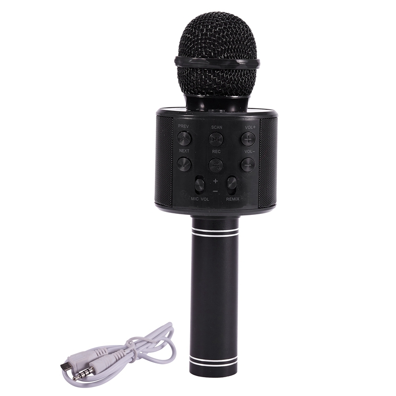 portable music system with mic