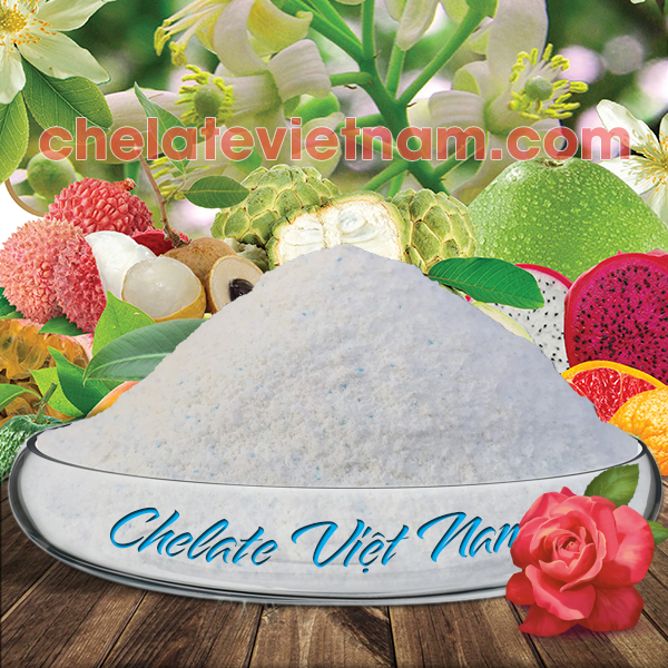 Phân bón vi lượng Combi Chelate 02 (Thiamin, NAA Plus) (100g)