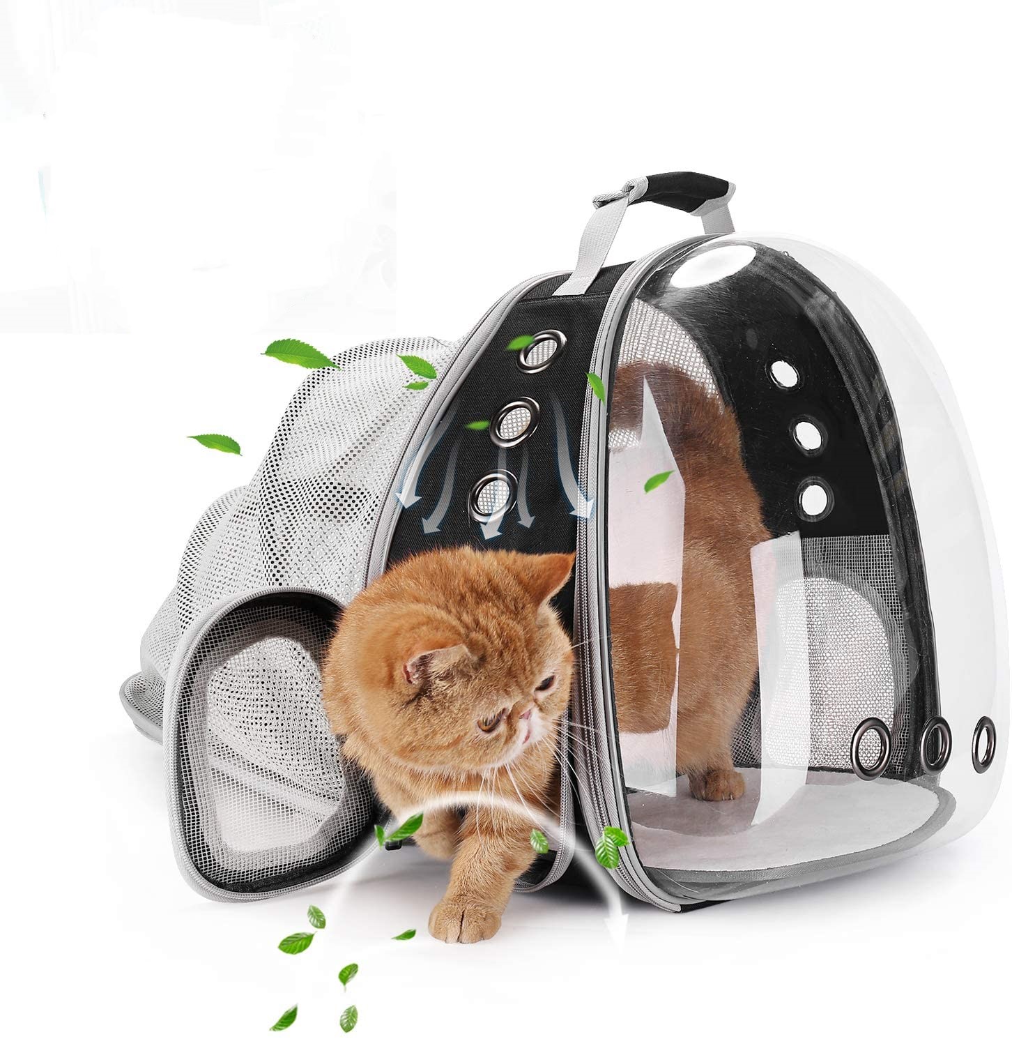 cat carrier backpack