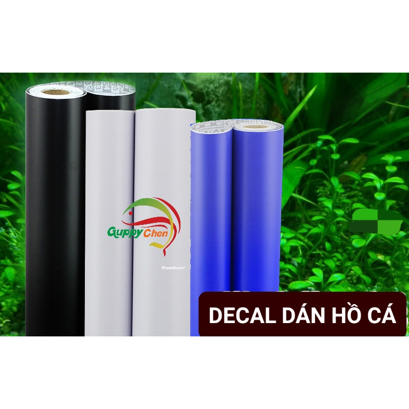 Decal Dán Bể Cá, Dán Nền Hồ Cá Cảnh