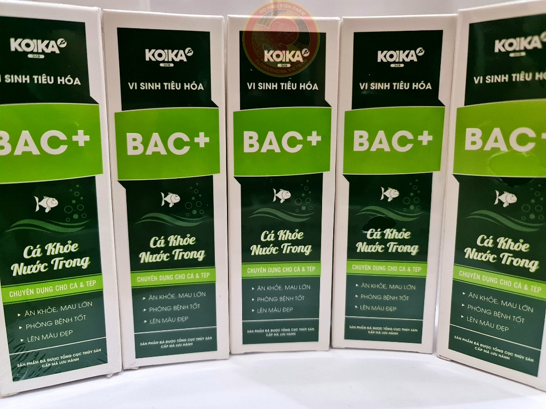 KOIKA BAC+ .Men Vi Sinh Tiêu Hóa Cho Cá Cảnh Thủy Sinh
