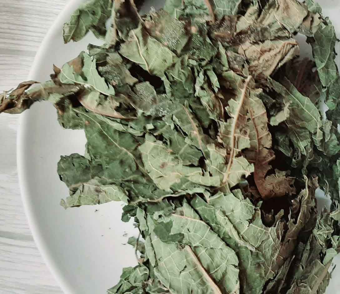 lá đu đủ khô 1kg thơm sạch
