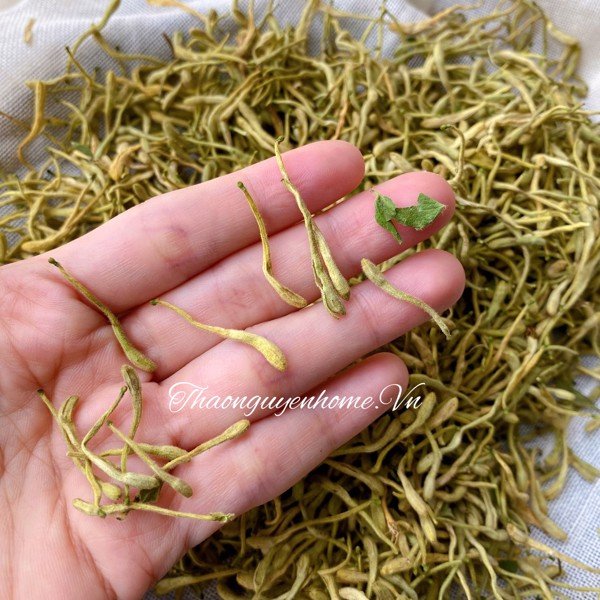Trà hoa kim ngân