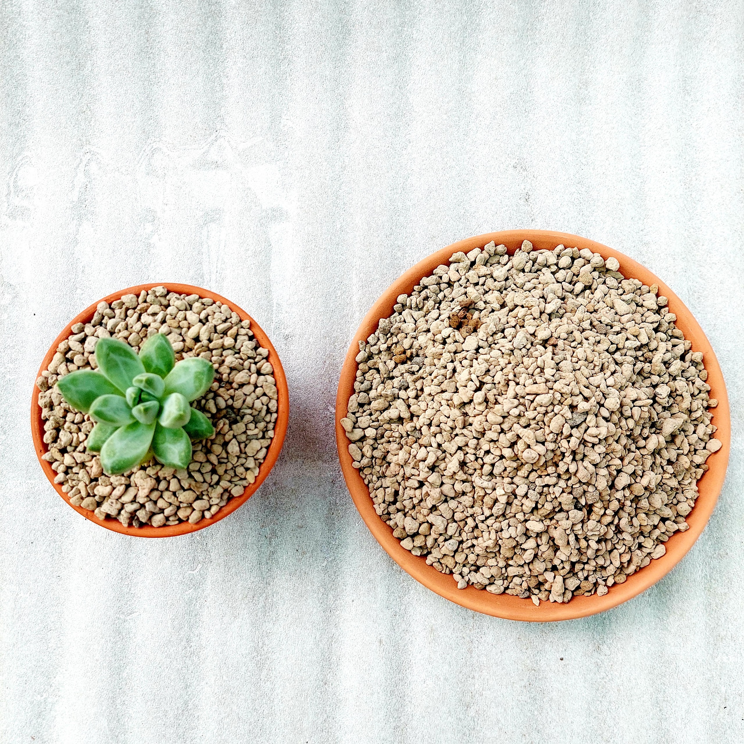 Đá PUMICE indo màu nâu size 3mm-6mm 100gram