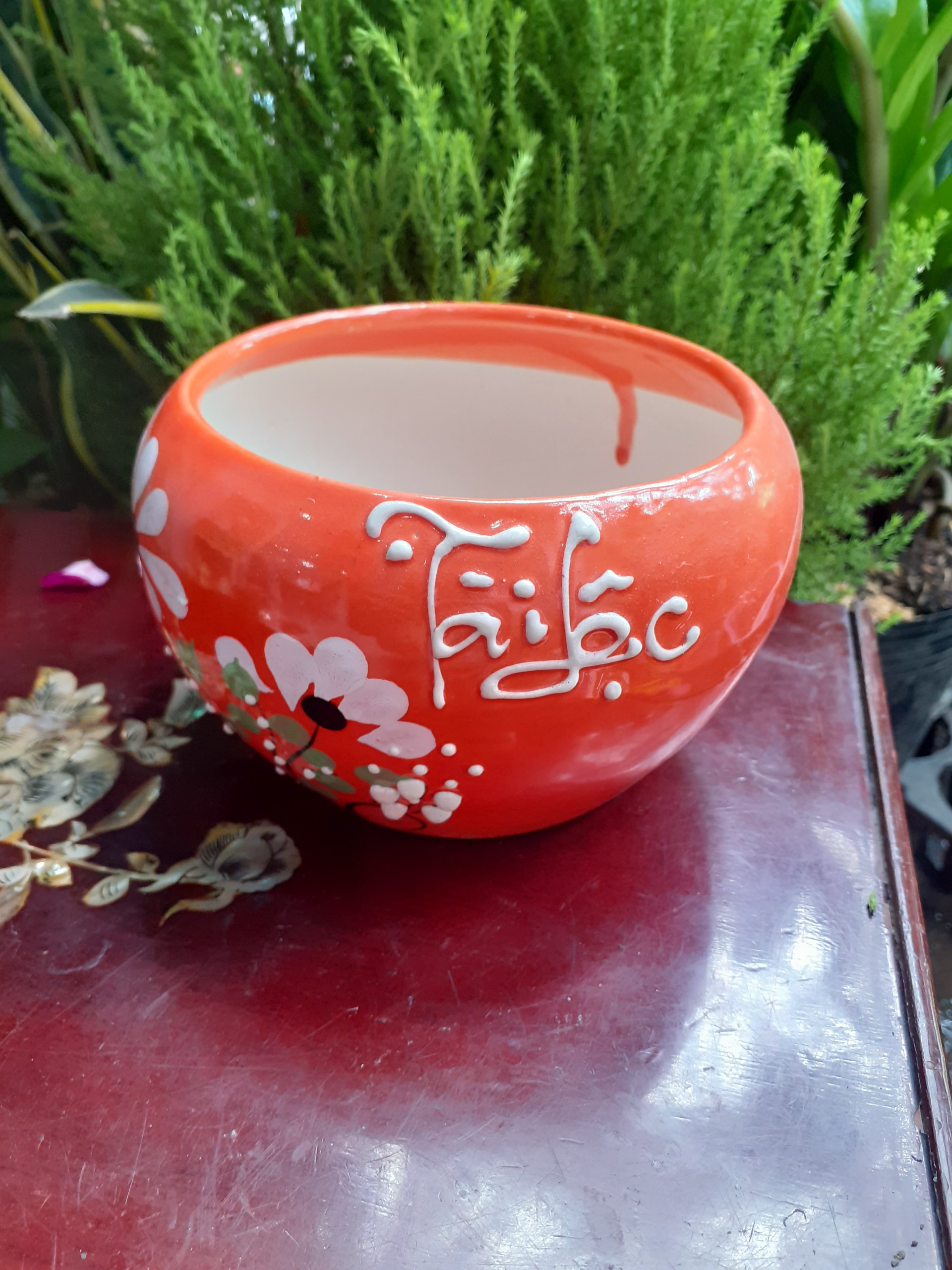 Chậu men sứ tài lộc đủ màu đẹp.