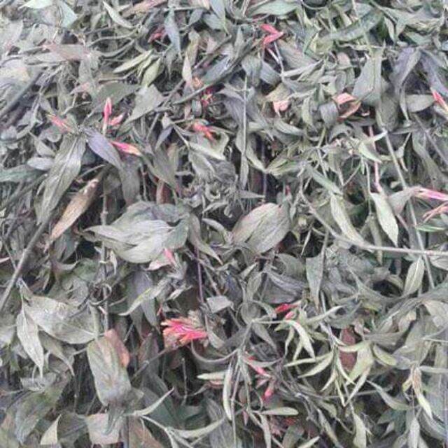 Dried Bitter Melon Plant 1kg