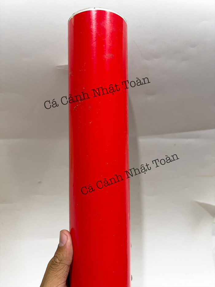 Red Decal for Aquariums, Motorcycle Stickers 60cm High