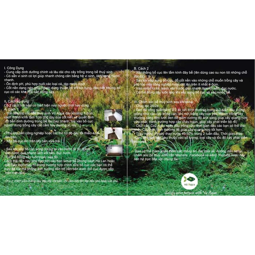 Cốt nền thuỷ sinh - Vũ Aqua . Rain Aqua