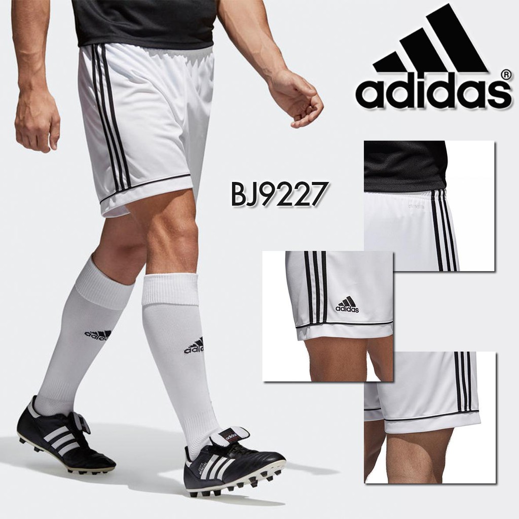 adidas shorts squadra 17