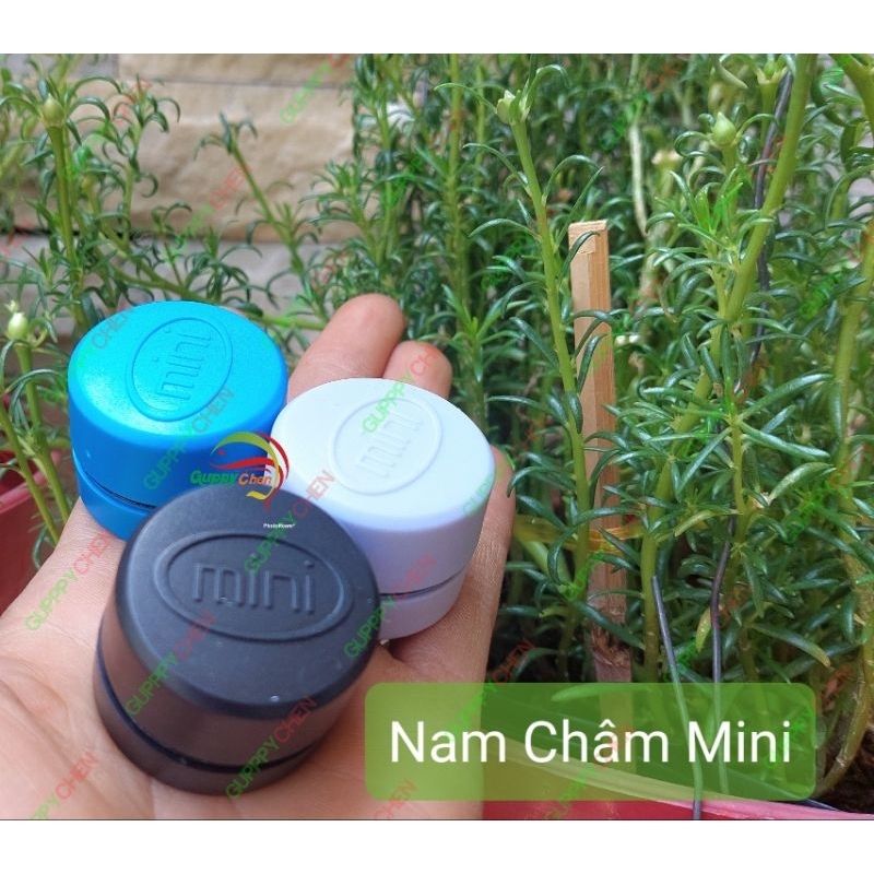 Hít Chùi Kính, Chà Hồ Nam Châm Mini Hình Tròn Dùng Cho Bể Cá