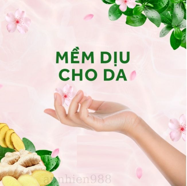 Nước rửa chén bát siêu sạch Mr Fresh 1,6L Tinh Dầu Gừng