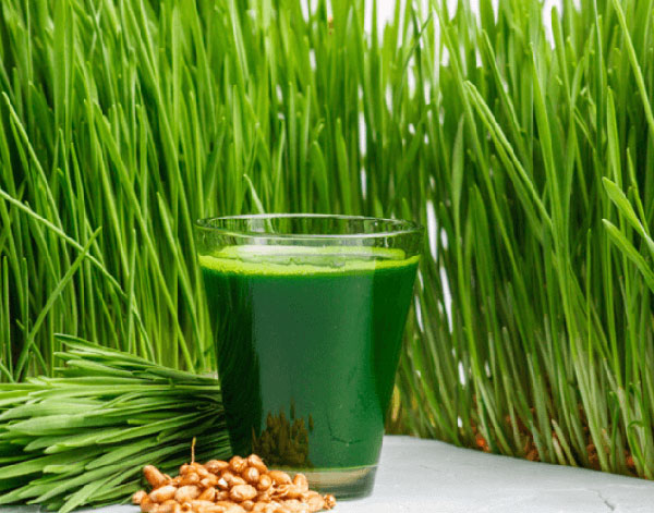 250g Bột cỏ lúa mỳ non giàu dinh dưỡng