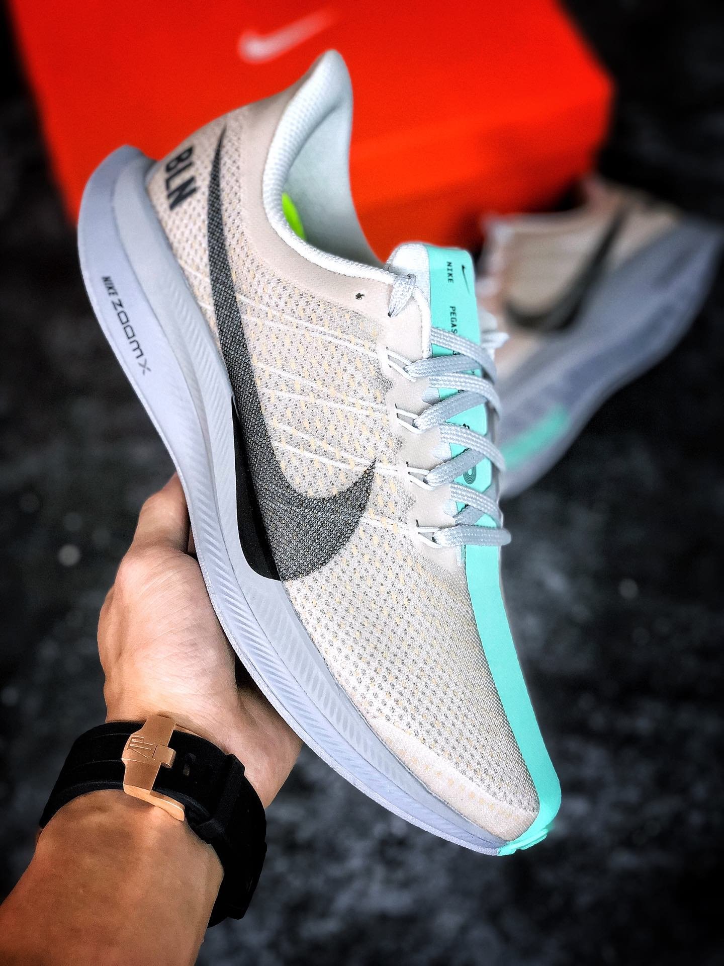 nike zoom pegasus turbo x