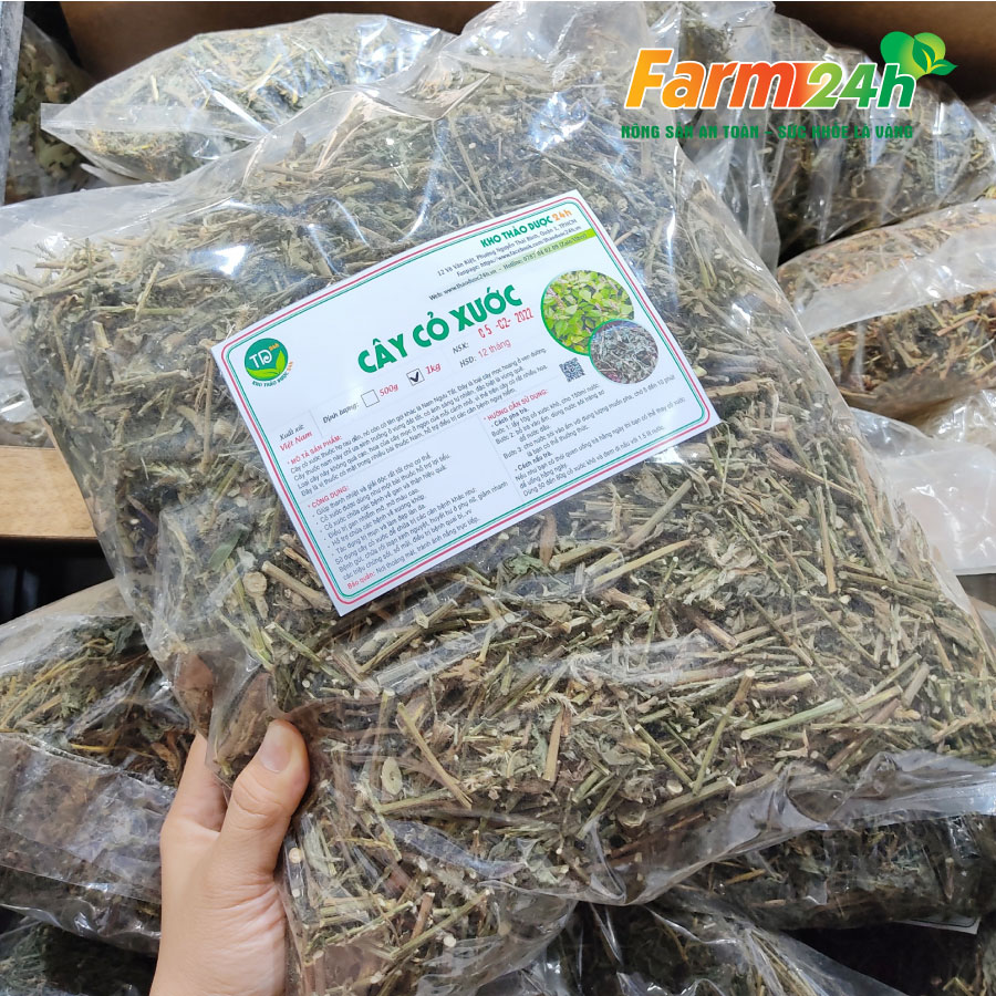 Cây cỏ xước khô đánh bay sỏi thận tiểu đường mỡ máu cao ổn định kinh nguyệt tốt cho người bị thoái hóa khớp xương I Kho thảo dược 24h