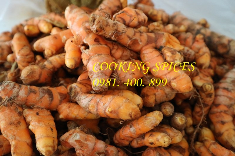 Bột Nghệ Thực Phẩm dùng làm gia vị ướp thịt trong nấu ăn ( Turmeric Powder ) Hũ dùng tiện lợi