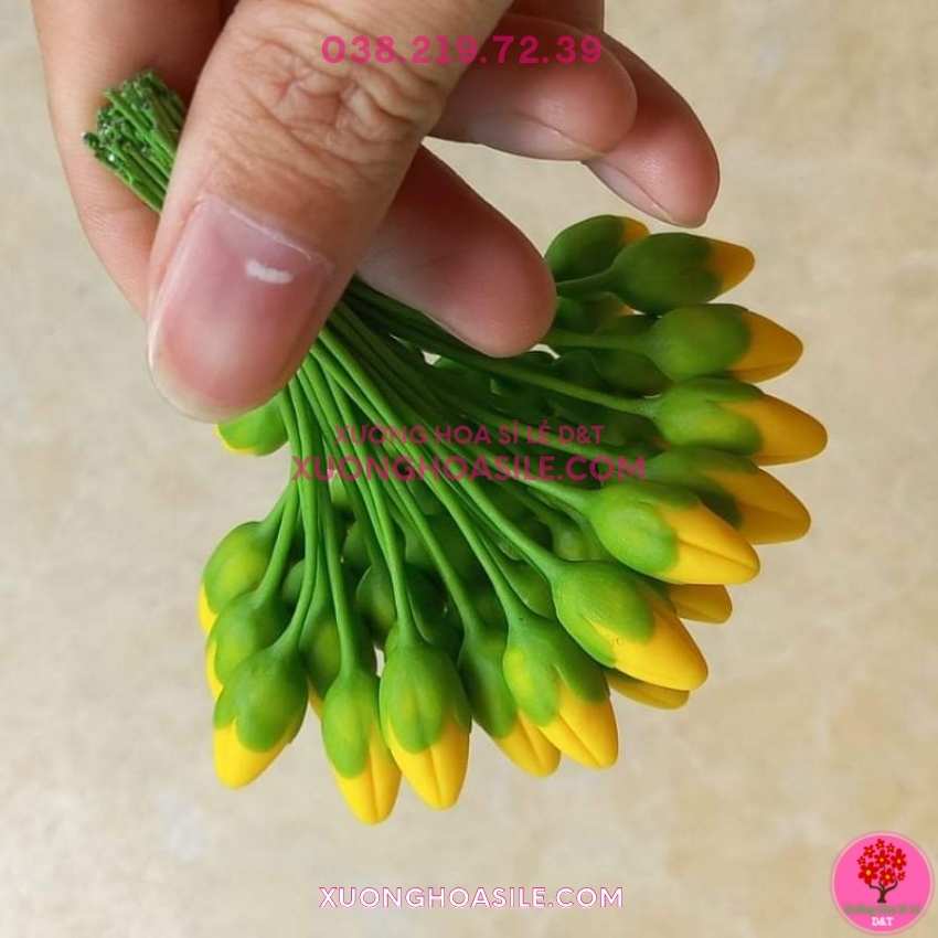 [HCM]NỤ MAI GIẢ, NỤ MAI ĐẤT SÉT