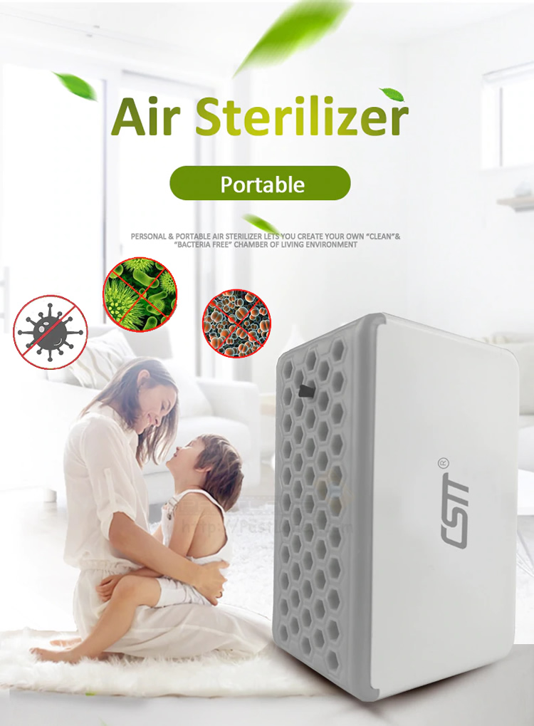 Plasma Positive + Negative Ions Air Purifier Ionizer Lazada Singapore