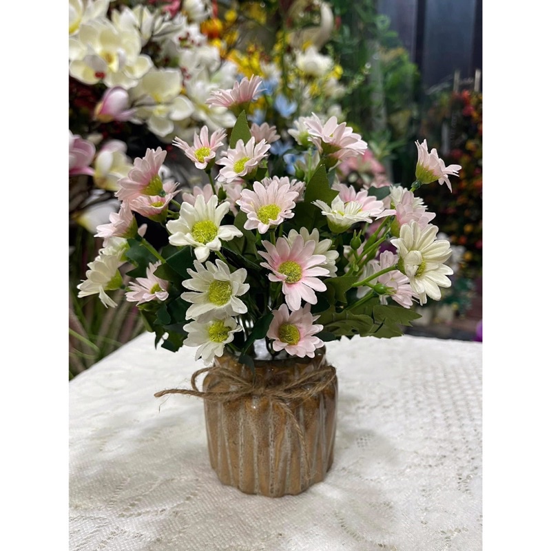 Chậu Cúc mini ( có sẵn chậu)